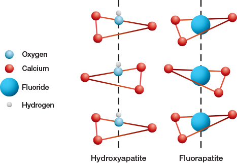 What is The Benefits of Fluoride-